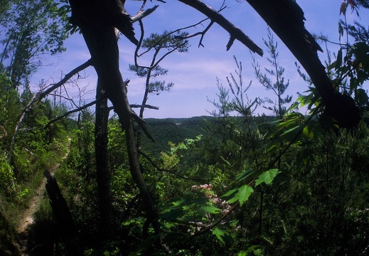 Big South Fork country